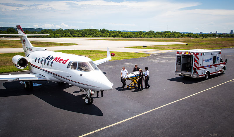 Air Ambulance Services For Veterinary Emergencies