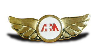 Flight Wings Pin